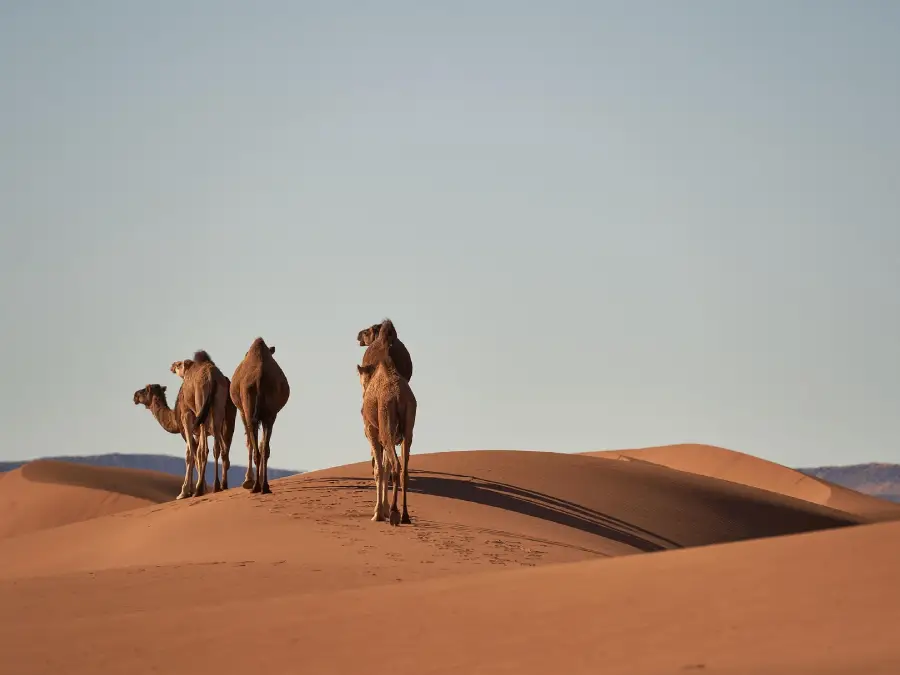 best places to travel morocco