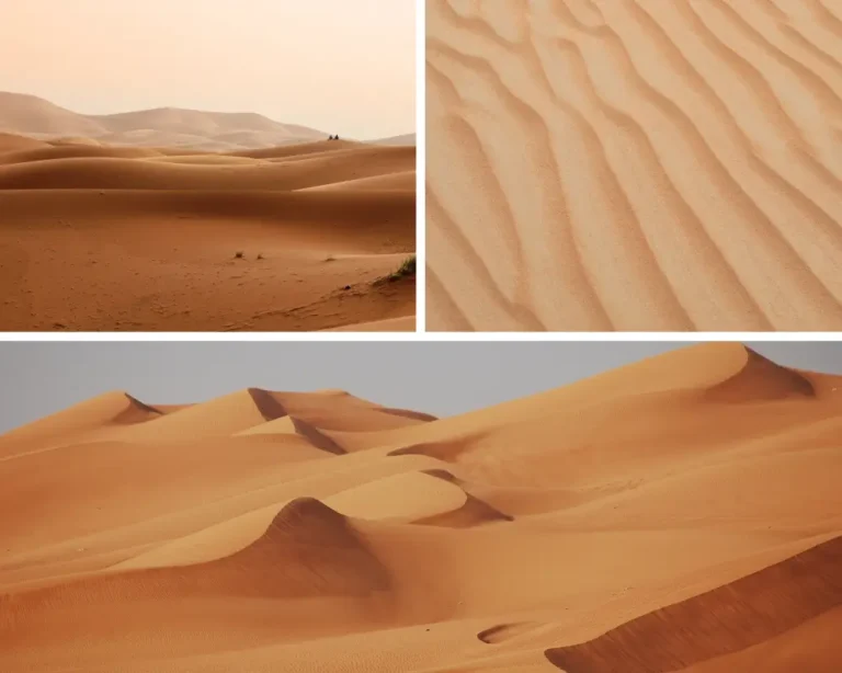 best sahara desert tours