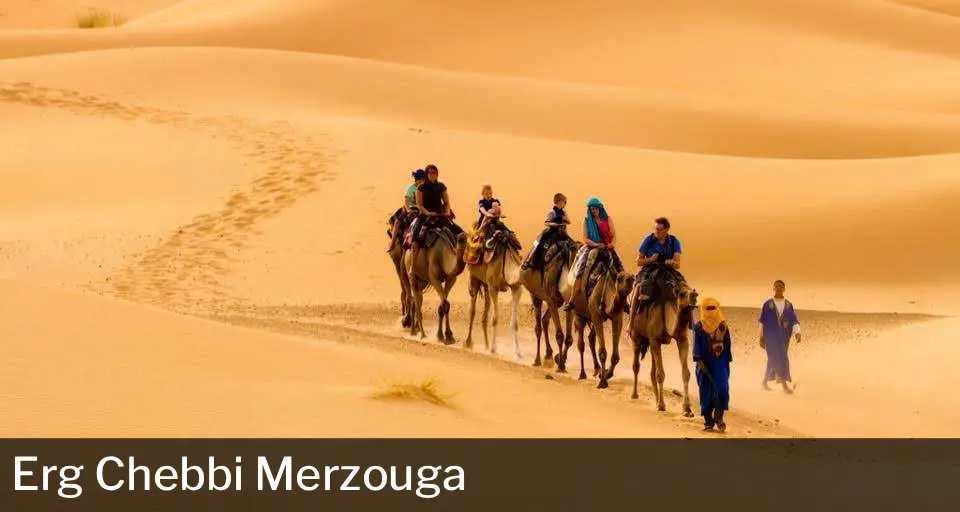 Merzouga desert guide