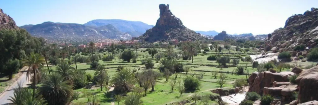 almond blossom festival morocco