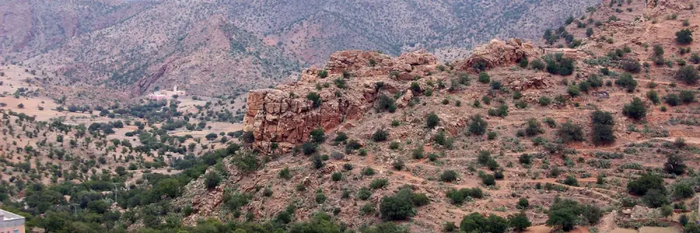 almond festival morocco 2026