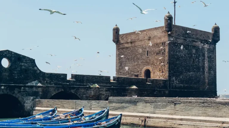 best things to do in essaouira morocco