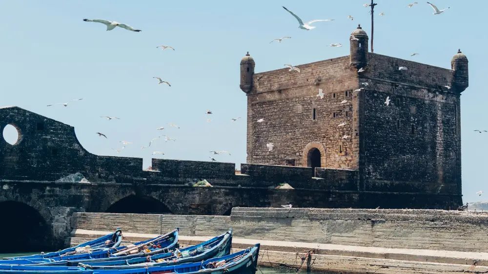 best things to do in essaouira morocco