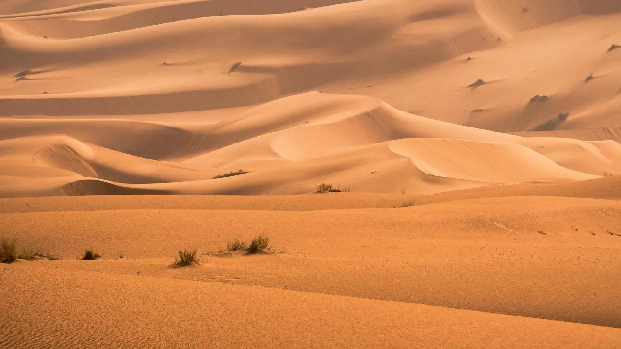 erg chebbi vs erg chigaga