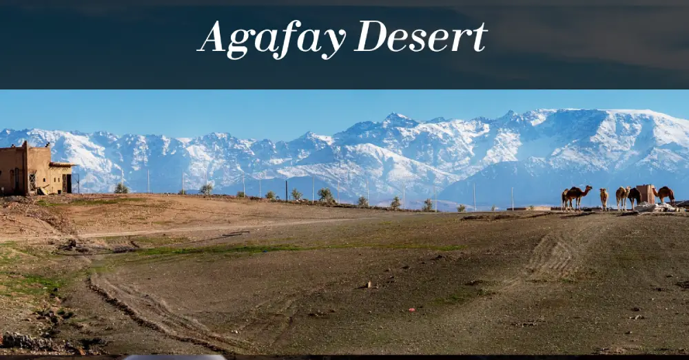 Agafay Desert sunset dinner experience