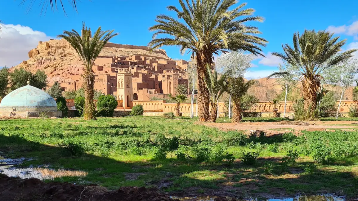 Best Day Trips from Marrakech