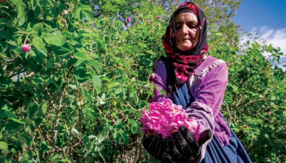 Kelaat M'Gouna Rose Festival 2026