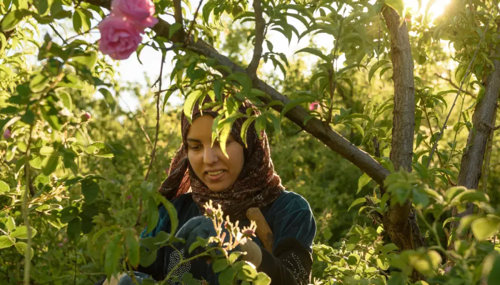 Things to do in Kelaat M'Gouna