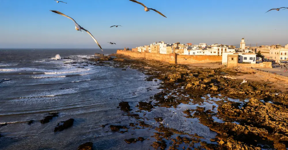 best things to do in essaouira morocco