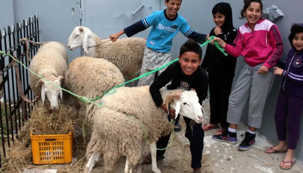 Morocco public holiday closures May 2026