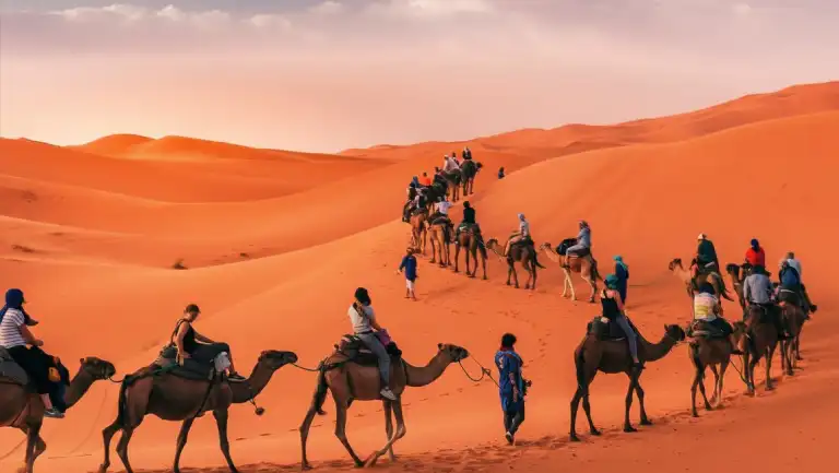 How much to tip tour guide Morocco