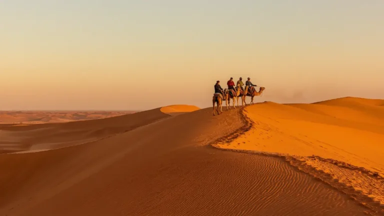 Camel caravan on orange dunes at sunset on a Sahara desert tour from Marrakech