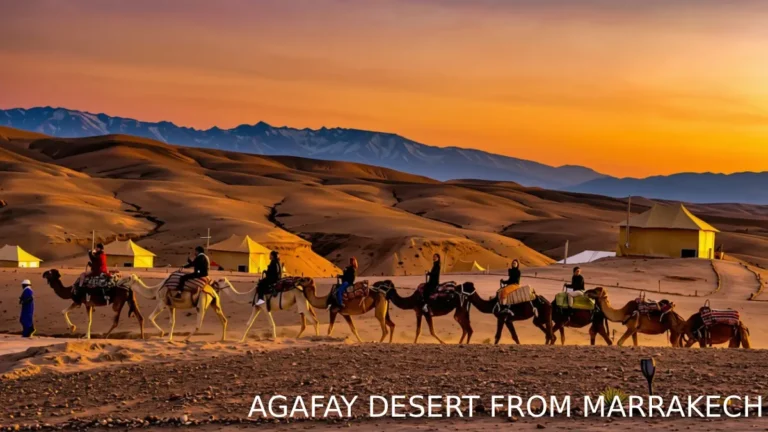 Camel caravan crossing the rocky Agafay Desert near Marrakech at sunset