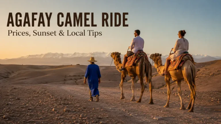 Travelers enjoying a sunset camel ride in Agafay Desert near Marrakech