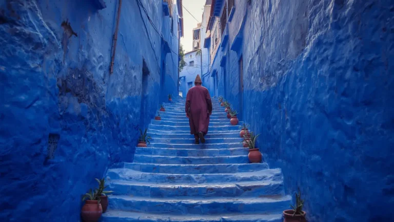 A steep, blue-painted alleyway in the Chefchaouen medina lined with potted plants, showing what tourists experience on a day trip from Fes.