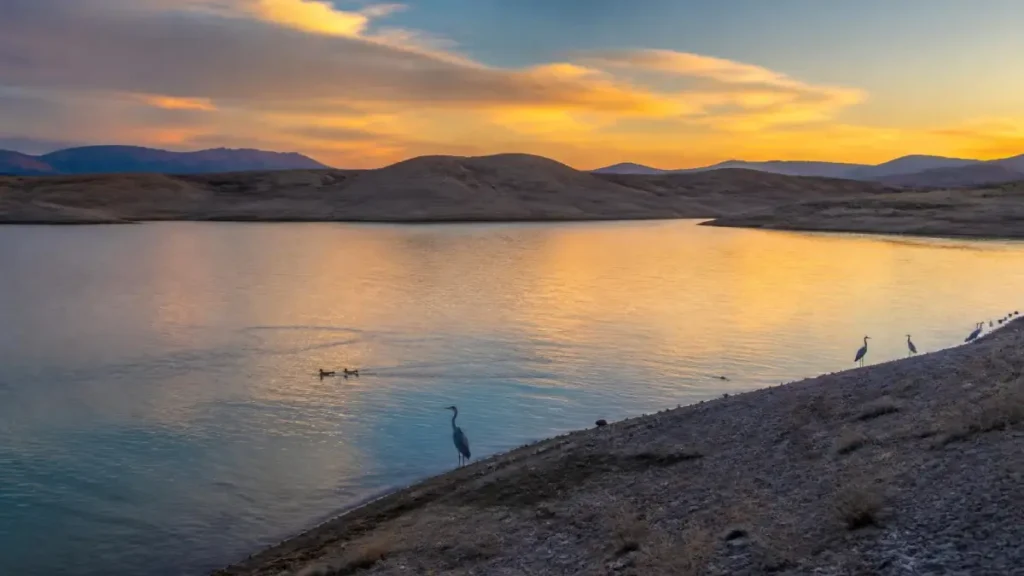 Waterbirds and sunset reflections at Lake El Mansour Eddahbi near Ouarzazate