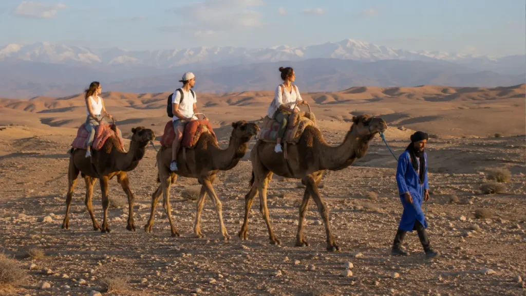 Small group taking a standard camel ride through Agafay Desert