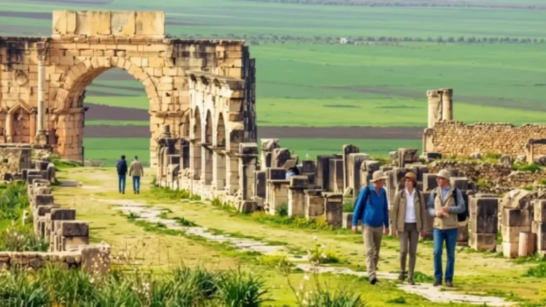 Roman ruins of Volubilis surrounded by countryside in northern Morocco