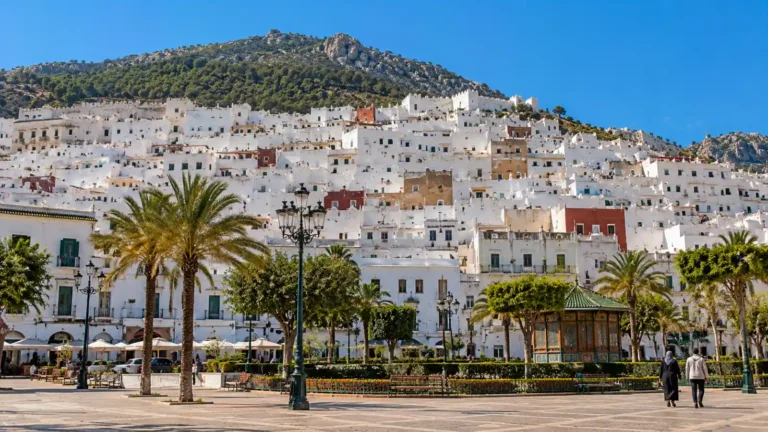Tetouan Morocco travel guide featuring the whitewashed Medina climbing the slopes of Jebel Dersa, with Feddan Park in the foreground.