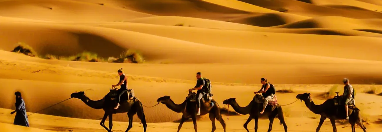 camel trekking merzouga